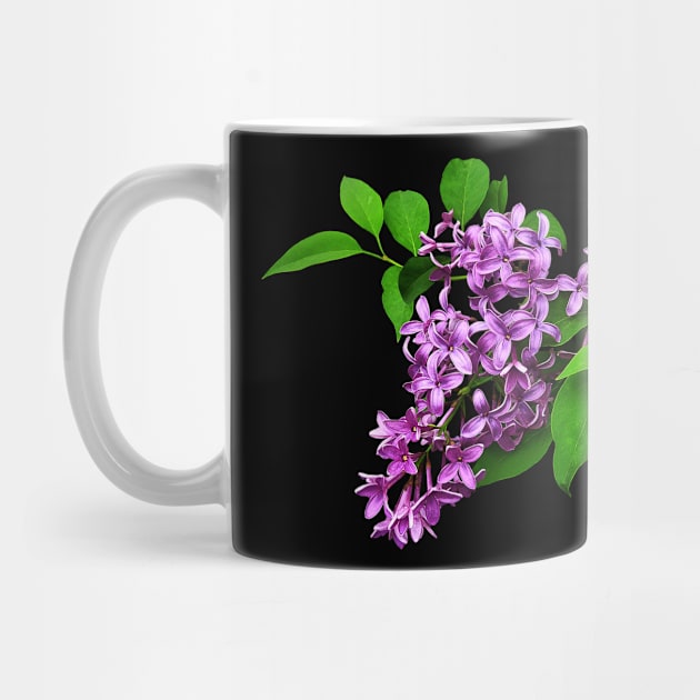 Lilacs - Lilacs and Leaves by SusanSavad